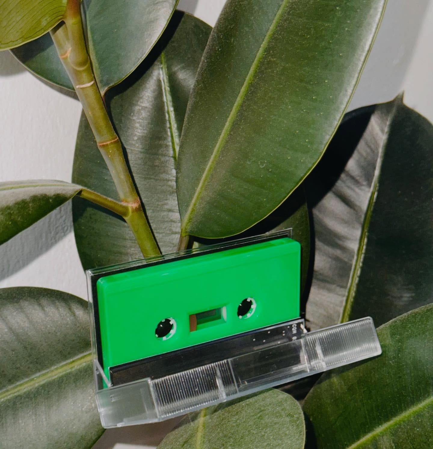 Malware é a sátira de Starkenoten sobre a internet