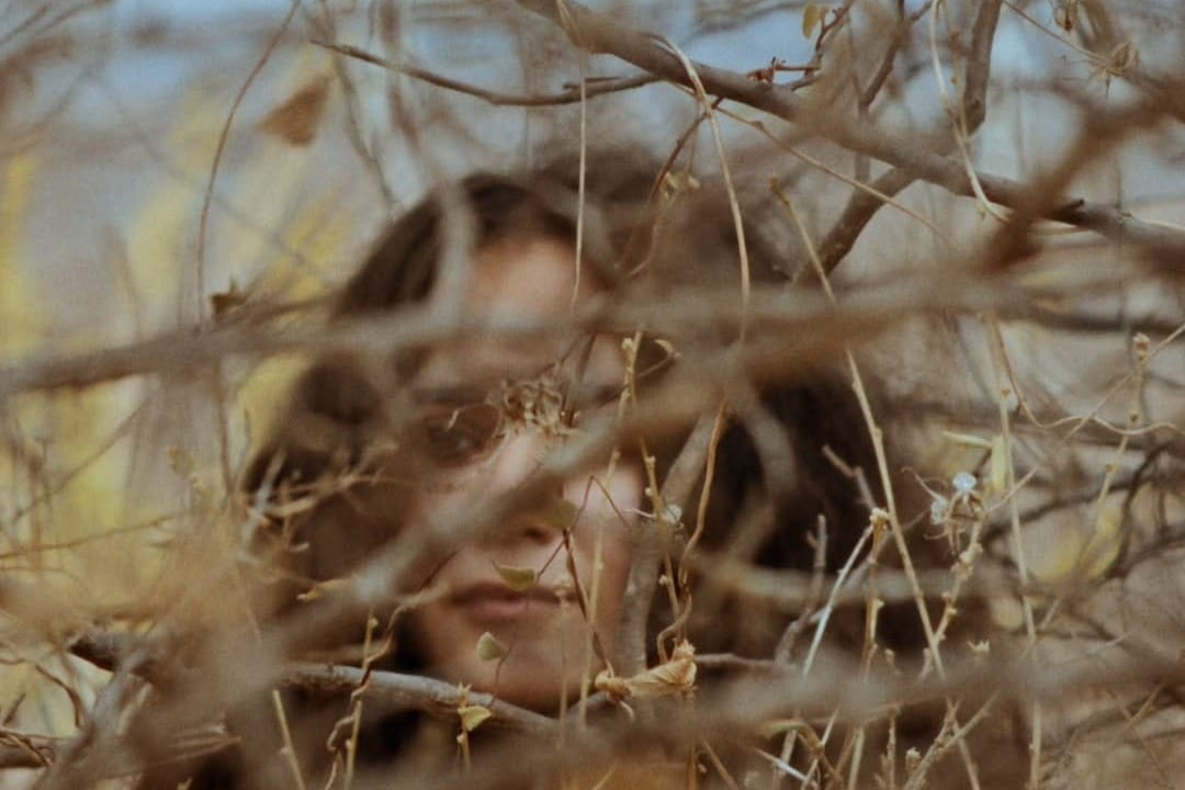 Jaime Guimarães e o cinema da Paraíba